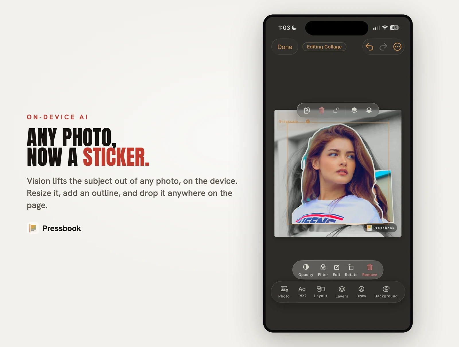 Pressbook sticker library and subject cutout tools on a page